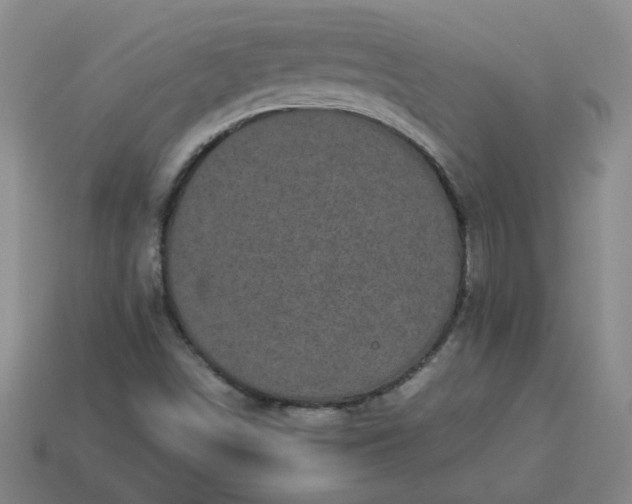 X0000114091498200910191552