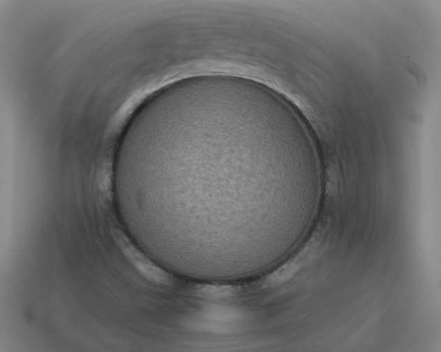 X0000114091499200910191552