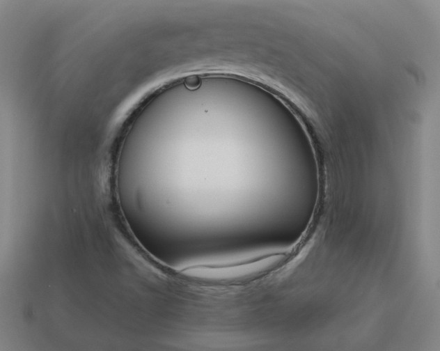 X0000114091502200910191552