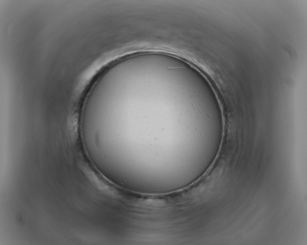 X0000114091503200910191552