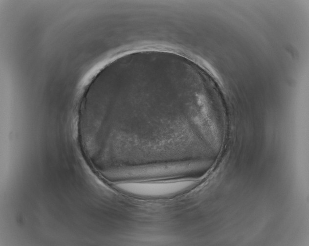 X0000114091504200910191552