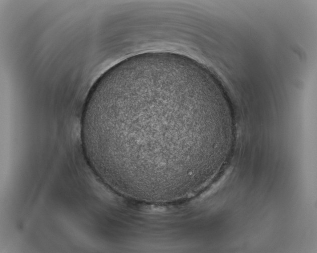 X0000114091505200910191552