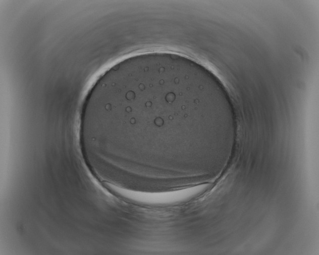X0000114091508200910191552