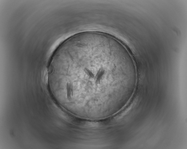 X0000114091509200910191552