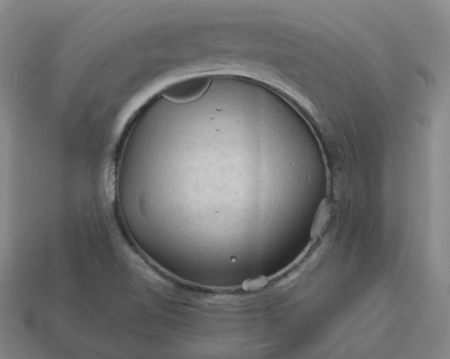 X0000114091510200910191552