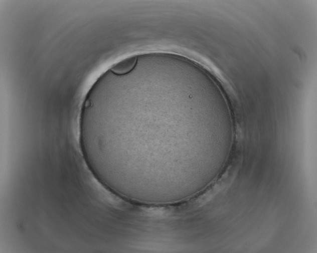 X0000114091512200910191552