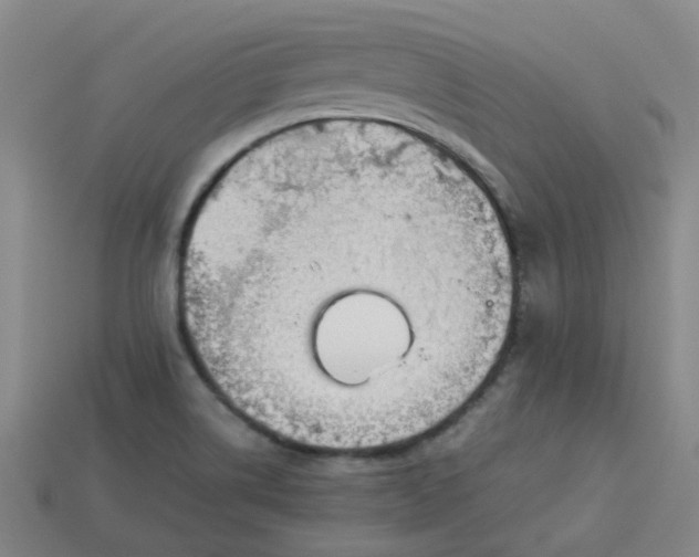 X0000114091514200910191552