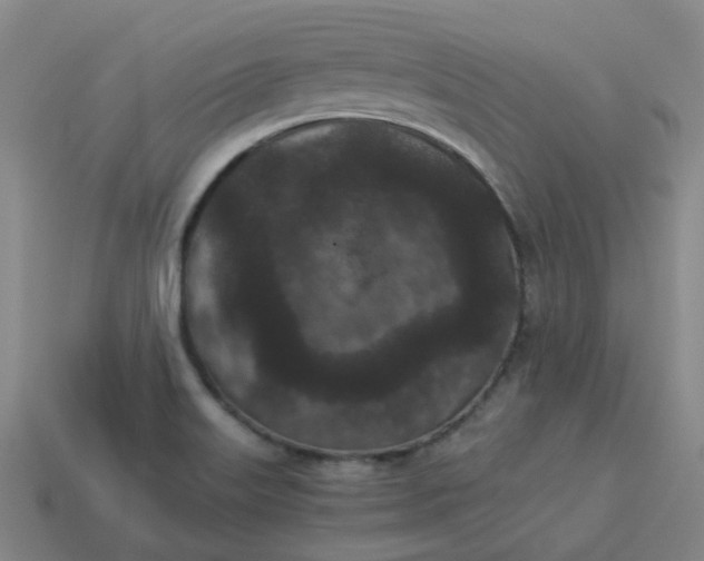 X0000114091515200910191552