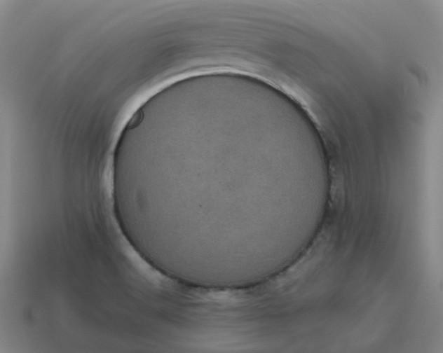X0000114091516200910191552