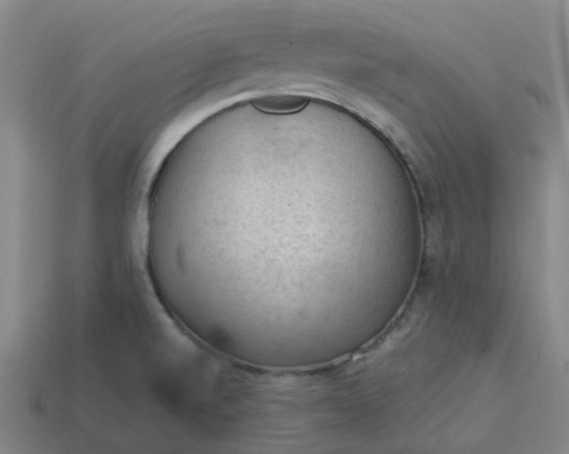X0000114091520200910191552