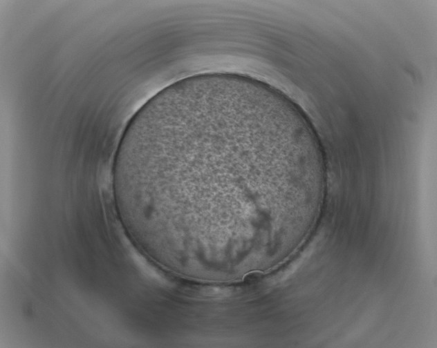 X0000114091521200910191552