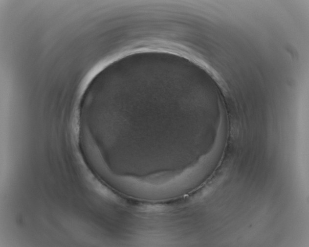 X0000114091522200910191552
