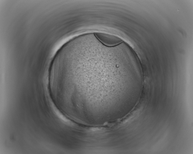 X0000114091523200910191552