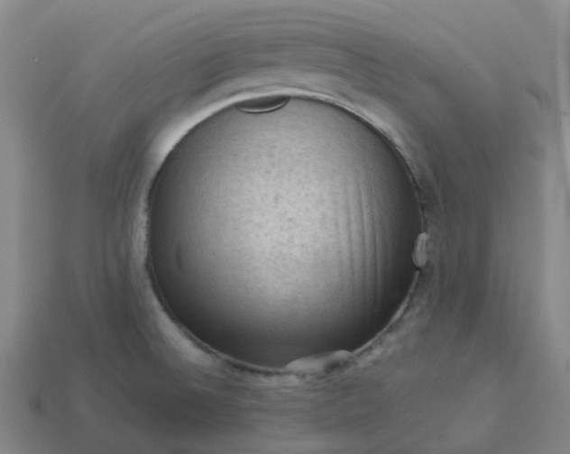 X0000114091524200910191552