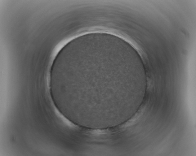 X0000114091527200910191552