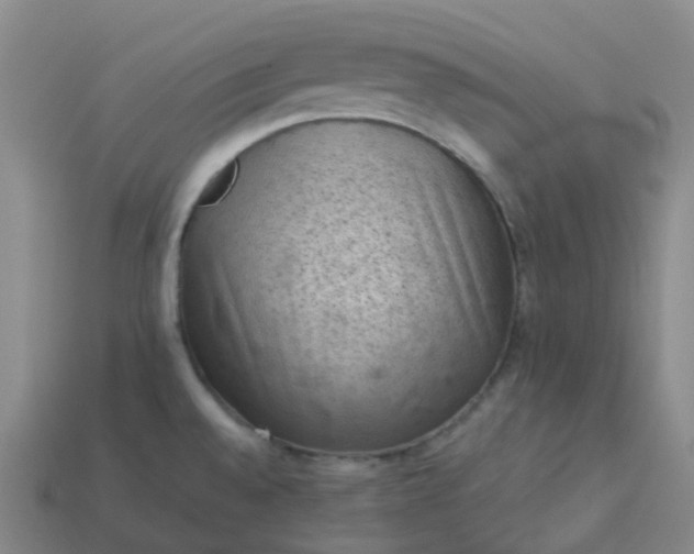 X0000114091528200910191552