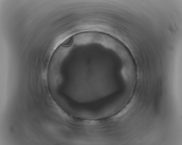 X0000114091529200910191552
