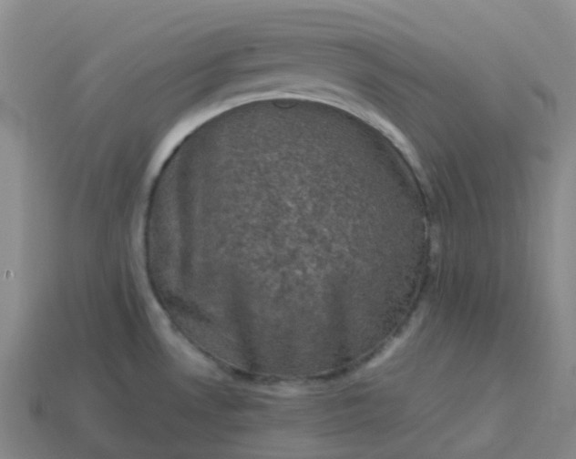X0000114091530200910191552