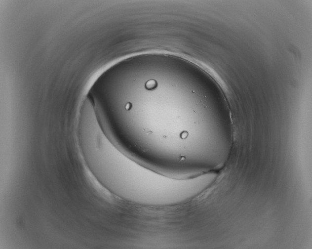X0000114091532200910191552