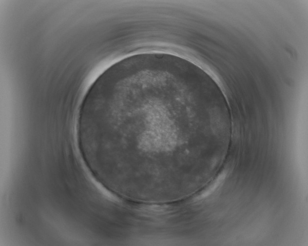X0000114091533200910191552