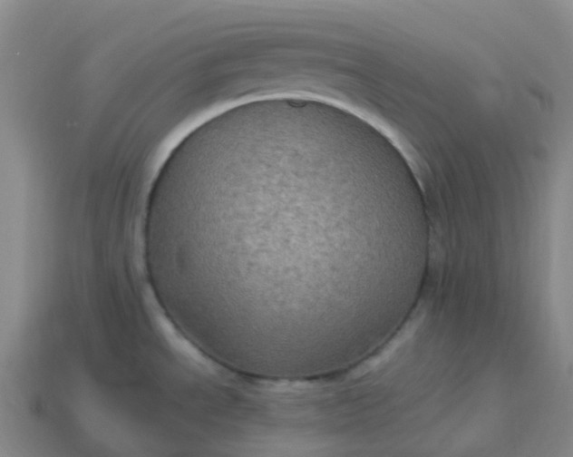 X0000114091534200910191552