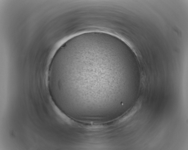 X0000114091535200910191552