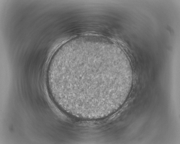 X0000114090049200911161045