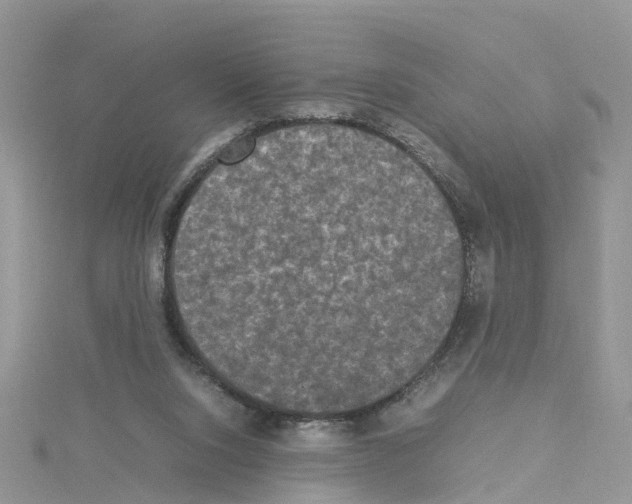 X0000114090064200911161046