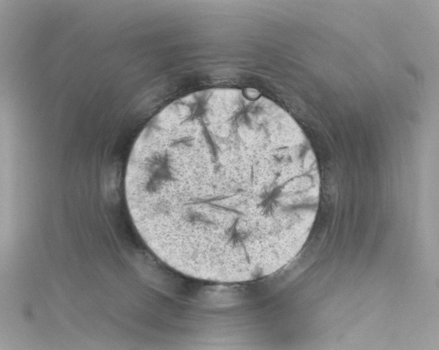X0000114090082200911161046