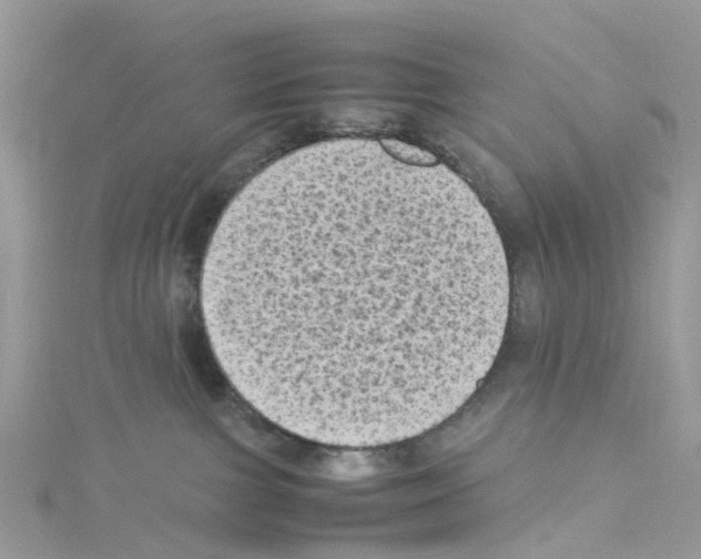 X0000114090091200911161046