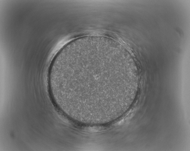 X0000114090103200911161045