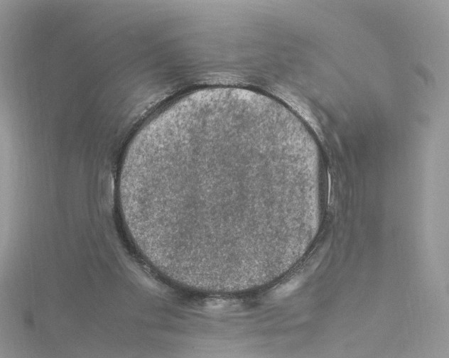 X0000114090109200911161045