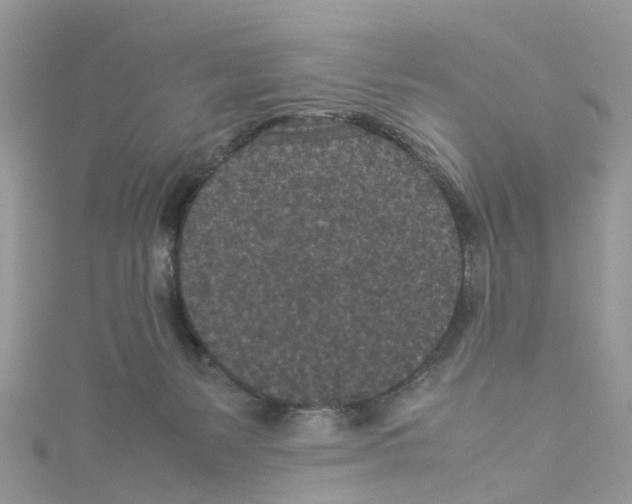X0000114090127200911161045