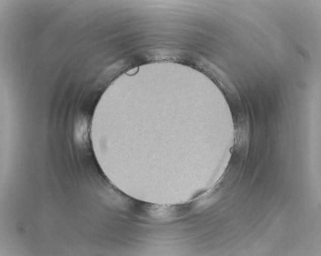 X0000114090142200911161045