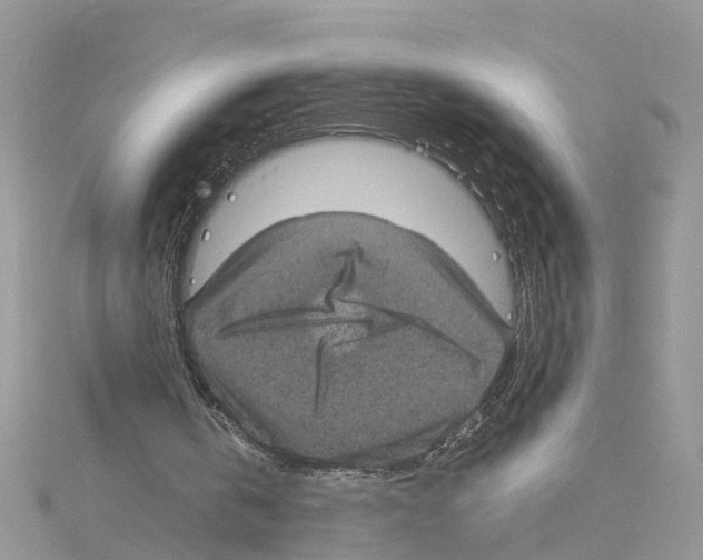 X0000114090146200911161044