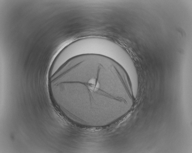 X0000114090148200911161044