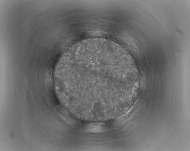 X0000114090179200911161045