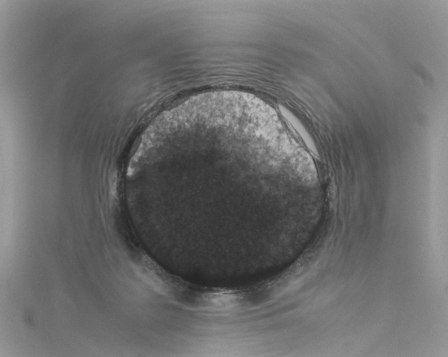 X0000114090219200911161044