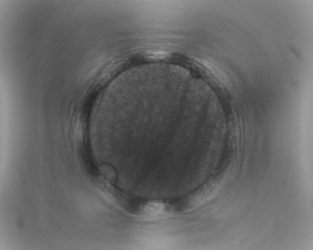 X0000114090227200911161044