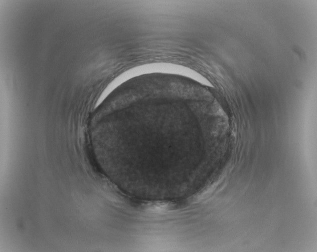 X0000114090235200911161044