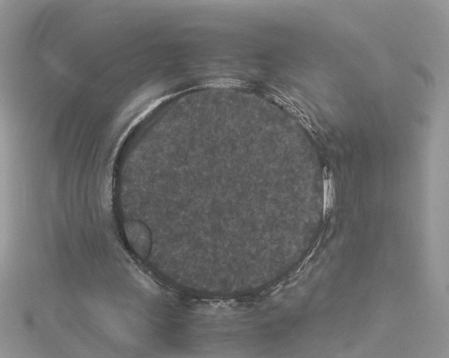 X0000114090243200911161043