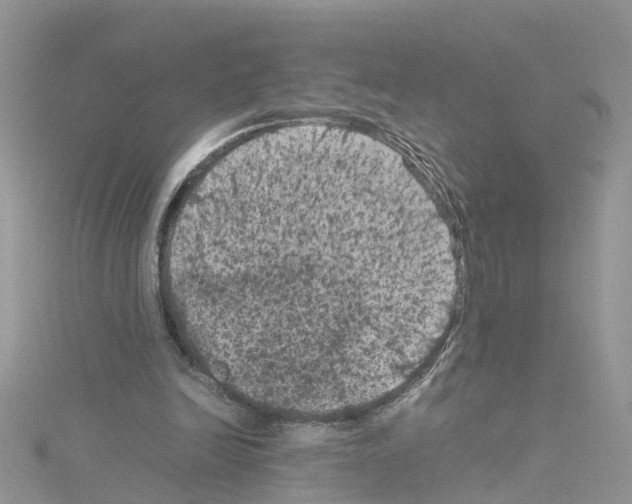 X0000114090246200911161043