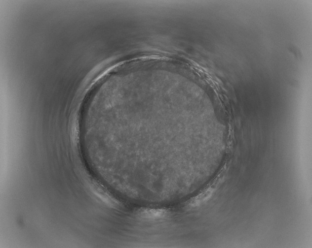 X0000114090247200911161043