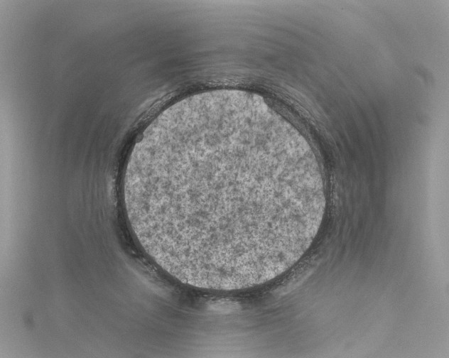 X0000114090258200911161043