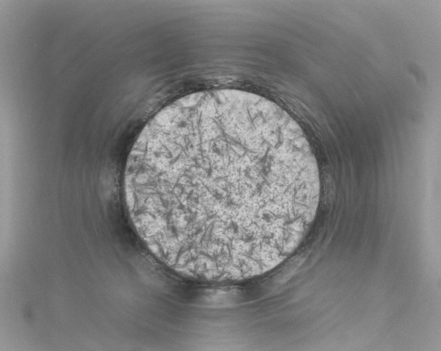 X0000114090274200911161043
