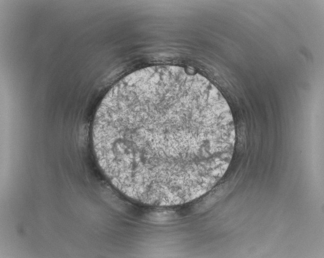 X0000114090278200911161043