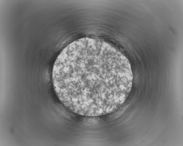 X0000114090282200911161043