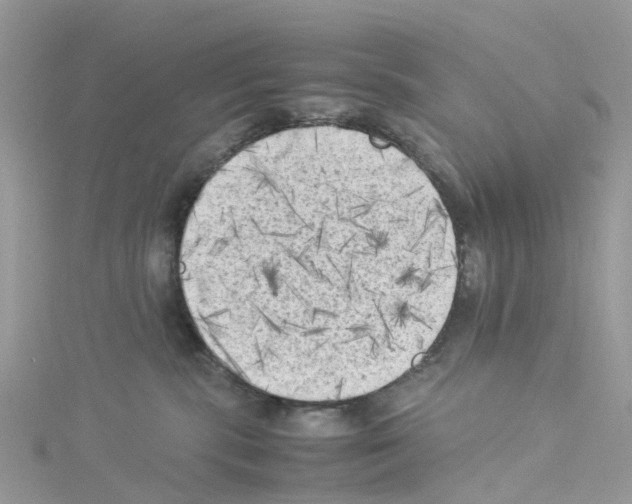 X0000114090283200911161043