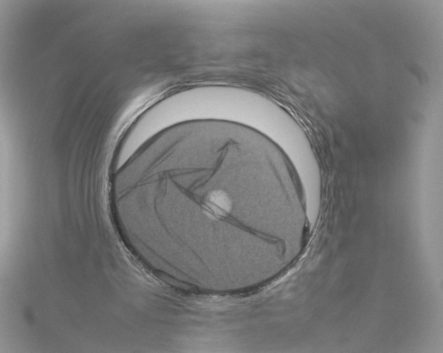 X0000114090293200911161043