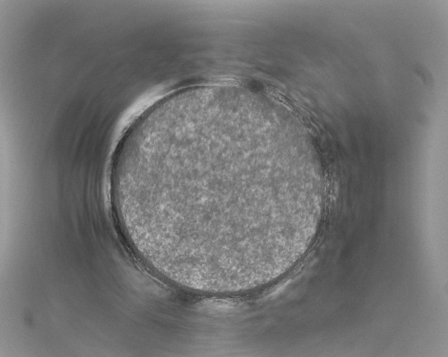X0000114090294200911161043